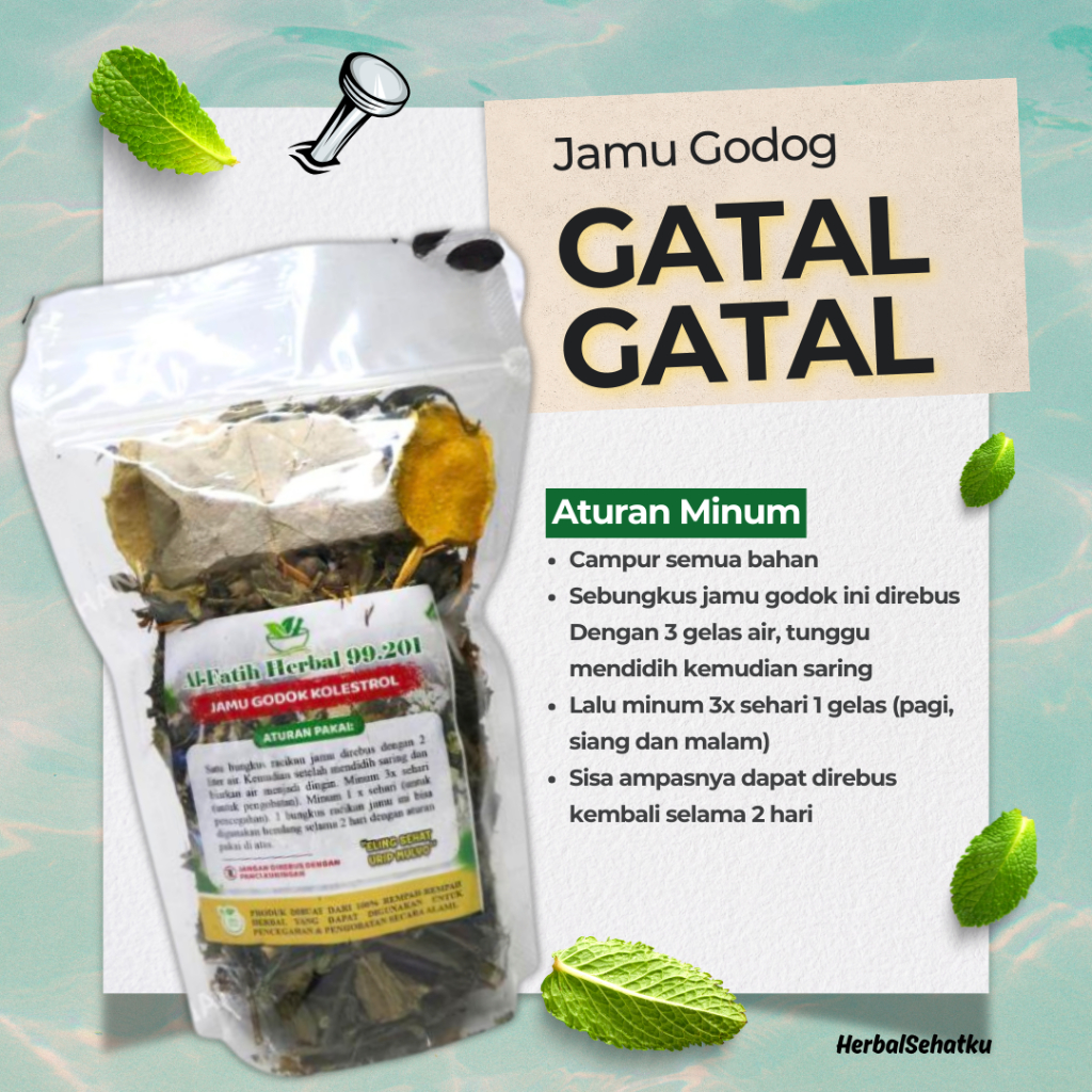 

Herbal Godog Jogja - Jamu Godok Gatal-Gatal, Alergi Gatal Kulit, Bersih Darah Kotor (1kg isi 6bks)