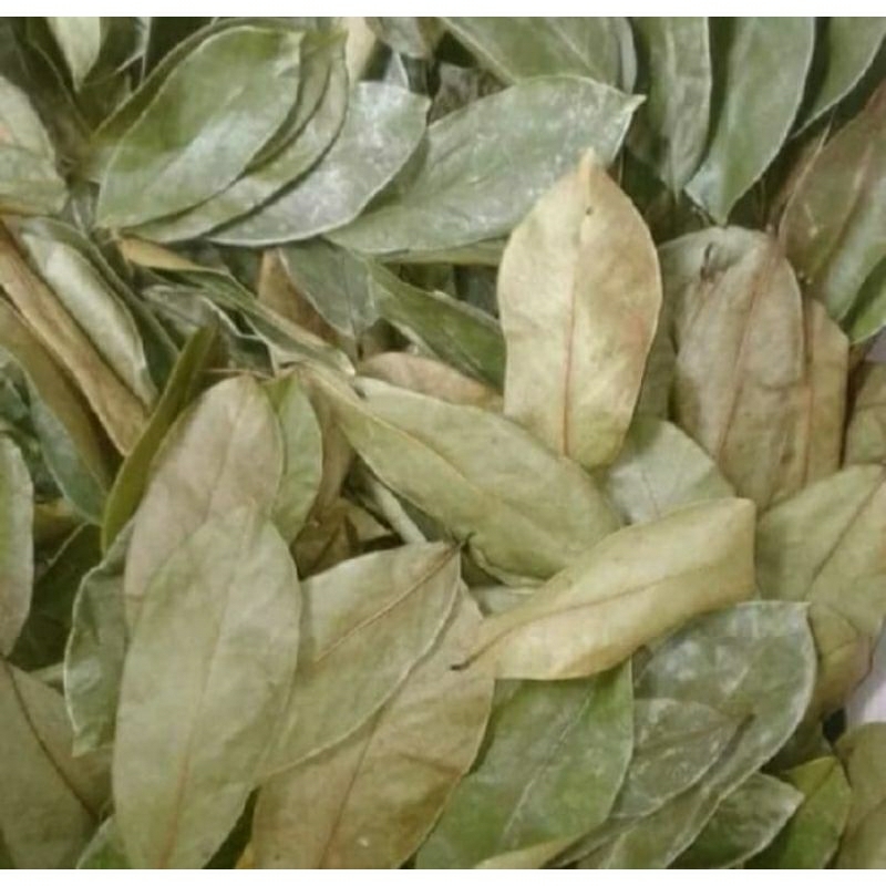 

50 LEMBAR DAUN SIRSAK KERING
