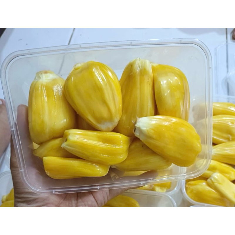 

Nangka Kupas kemasan tepak 650ml