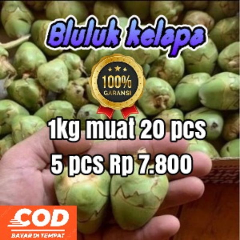 

beluluk kelapa banyak manfaat bagi kesehatan-harga per 5pcs