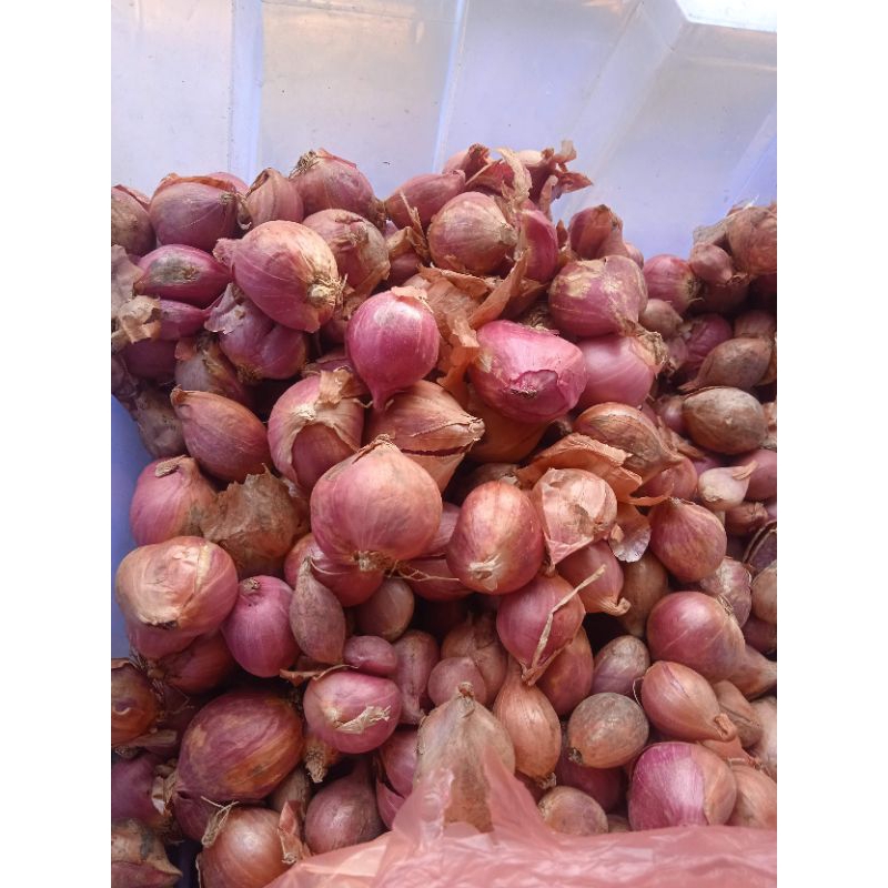 

bawang merah sedang-besar