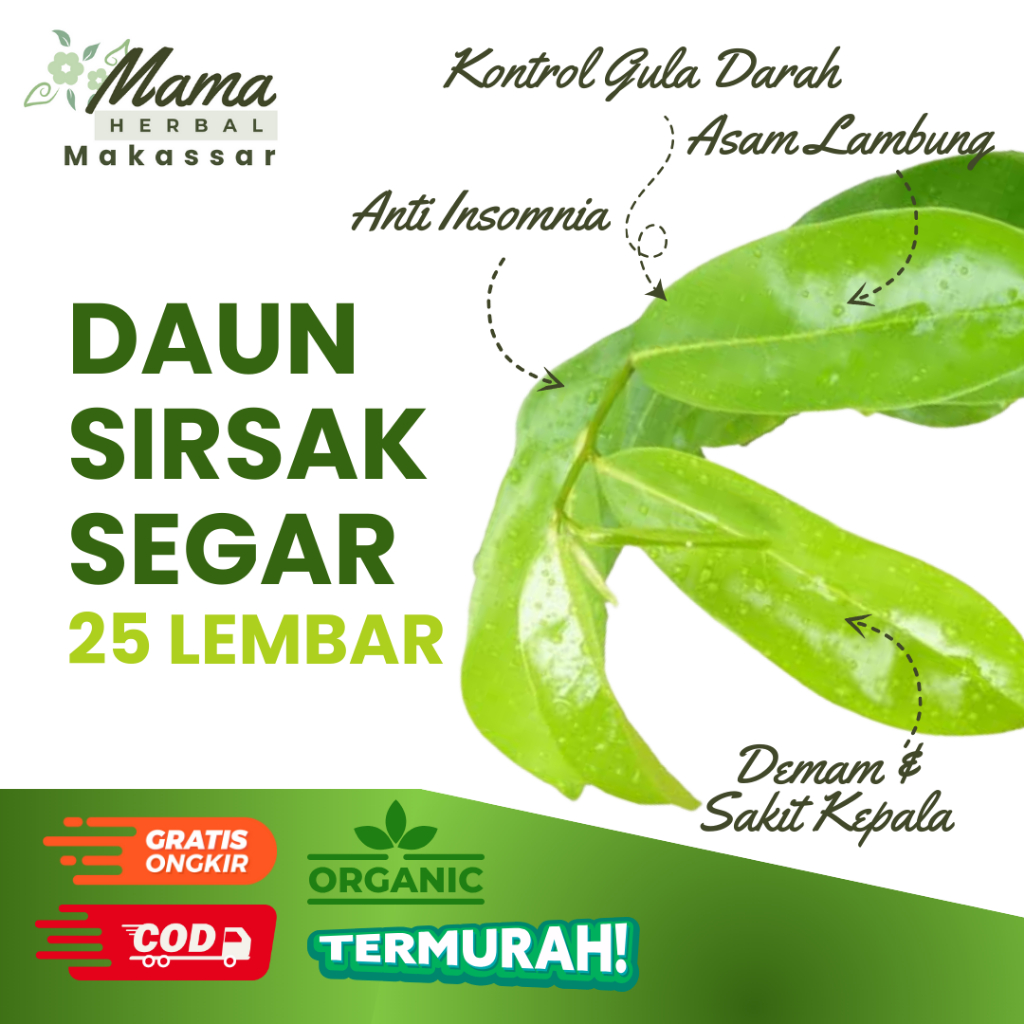

Daun Sirsak Segar 25 Lembar Organik Fresh Baru Dipetik Demam Anti Insomnia Diabetes COD Makassar