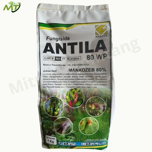 Antila 80 WP 1 kg