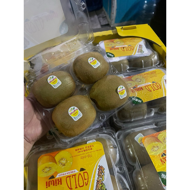 

BACA DESKRIPSI - KIWI GOLD - marketkitabali