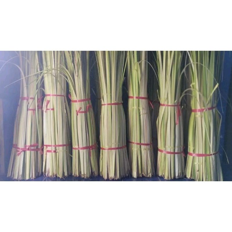 

DAUN KELAPA MUDA / JANUR KUNING FRESH SEGAR 50 LEMBAR