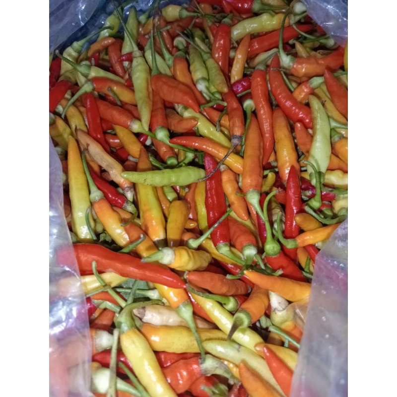 

cabe rawit merah berat 1kg