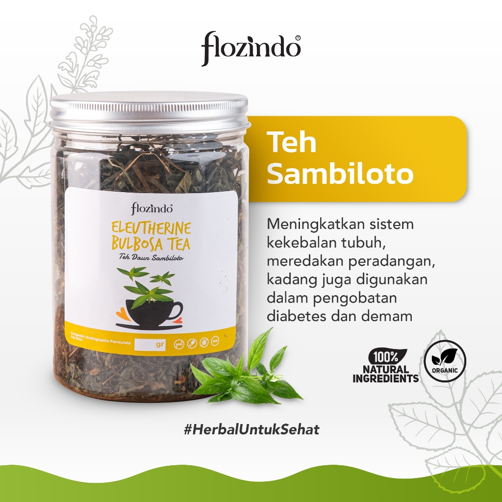 

Premium Flozindo Sambiloto Tea / Teh Sambiloto