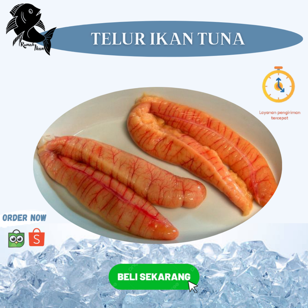 

Ready Telur Ikan Tuna Super Segar 1kg