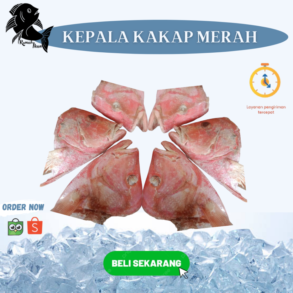 

Kepala Kakap Segar 1Kg isi 2-3