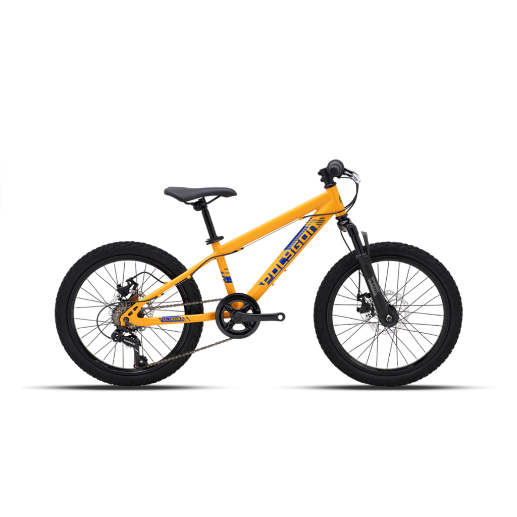 Sepeda Polygon Maze 20” MTB Garansi Resmi Pabrik