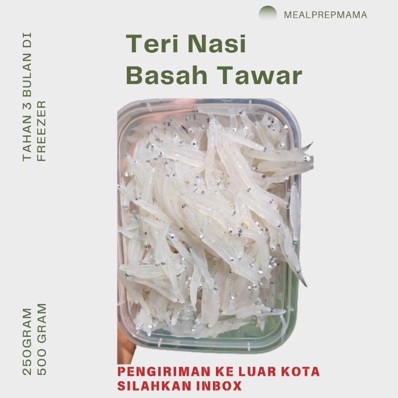 

Teri Nasi Basah Tawar Premium 500gr / Anchovies untuk MPASI/Grade A/Premium