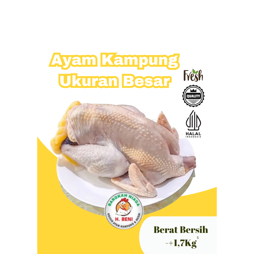 

AYAM KAMPUNG ASLI BESAR.. COCOK UNTUK USAHA KULINER SOTO BAKMI MAUPUN HIDANGAN KELUARGA