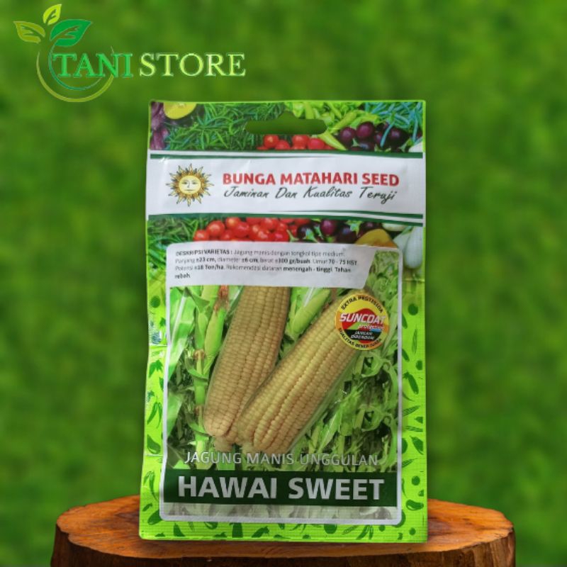 

ISI 125 BUTIR JAGUNG MANIS HAWAI SWEET BUNGA MATAHARI