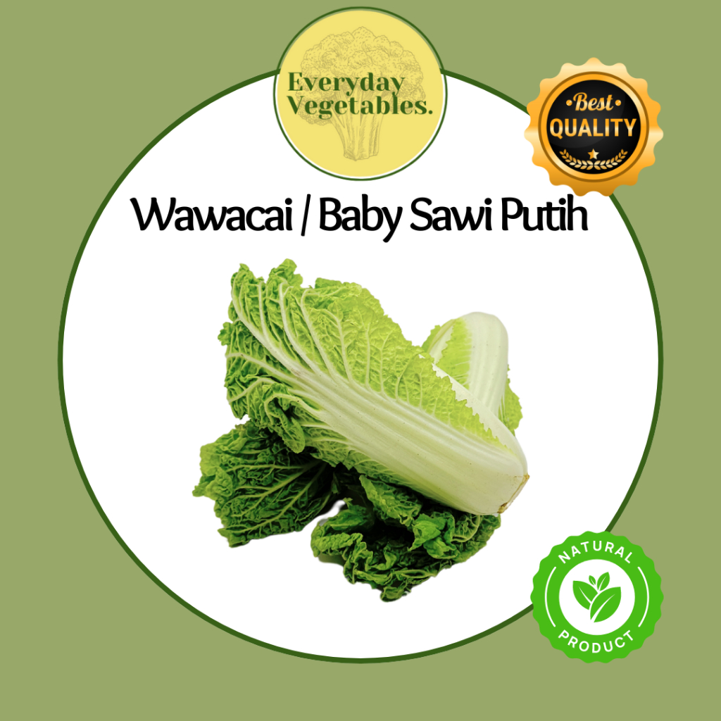 

Baby Sawi Putih / Wawacai per Pack @250gr