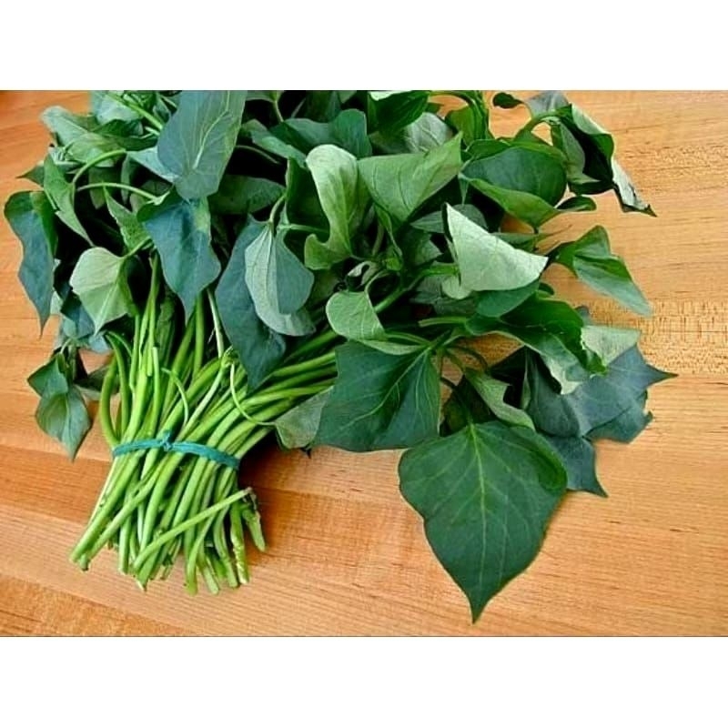 

Daun Ubi 1 ikat Besar