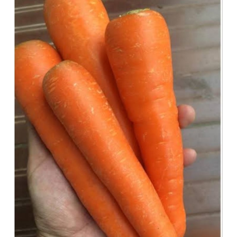 

Wortel Wartel - Carrot - Jus Sayur