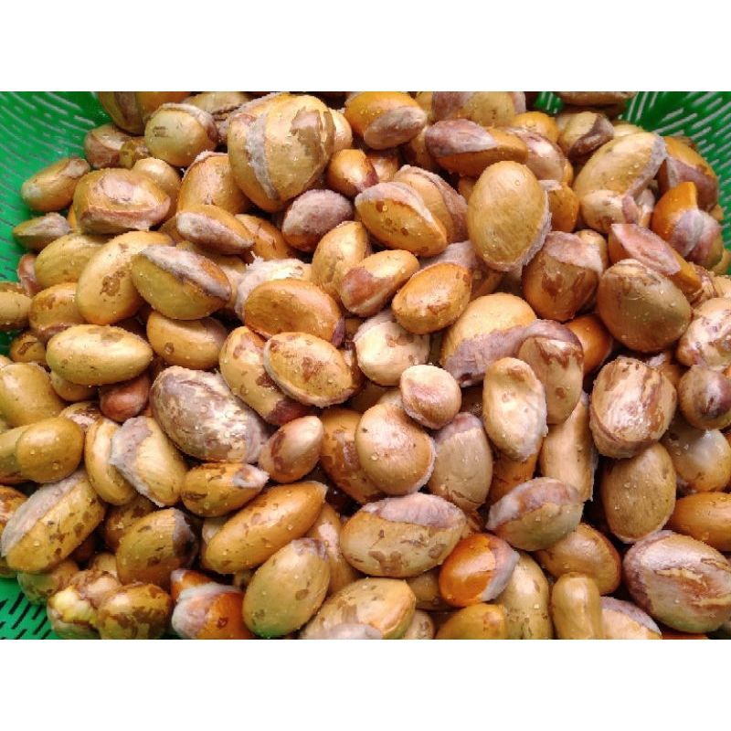 Bibit Biji durian lokal paketan 1 Kg#Biji Durian Lokal #siap tanam #biji