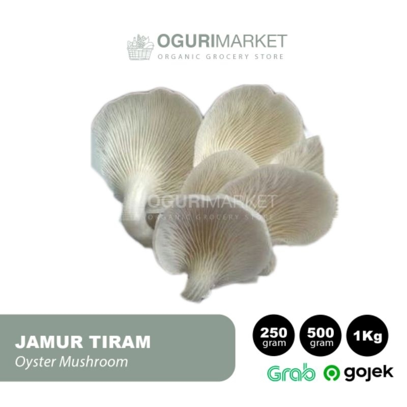 

Jamur Tiram Oyster Mushroom 250gr