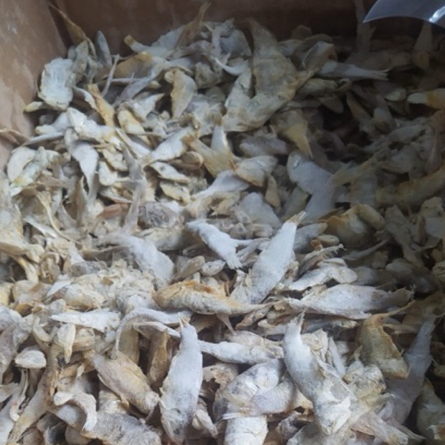 

Ikan Asin Gereh Selar