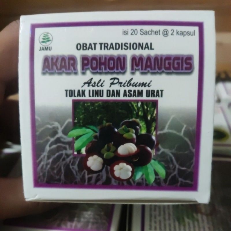 herbal Akar pohon Manggis
