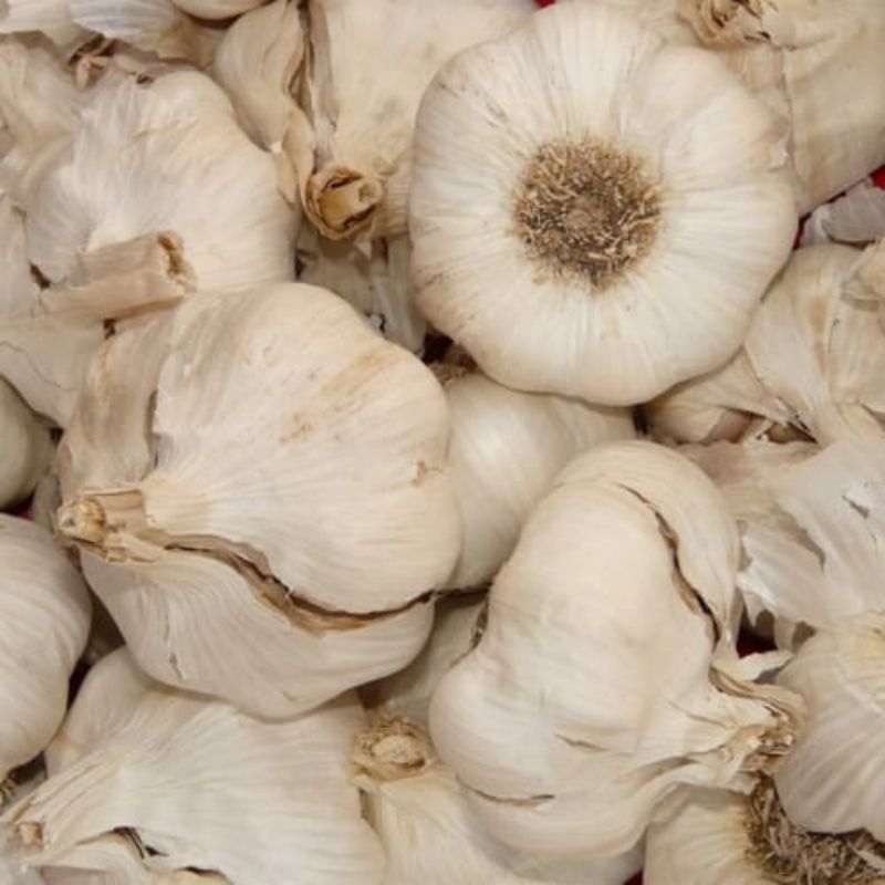 

Bawang Putih Sinco Banci Kotor Per 1Kg