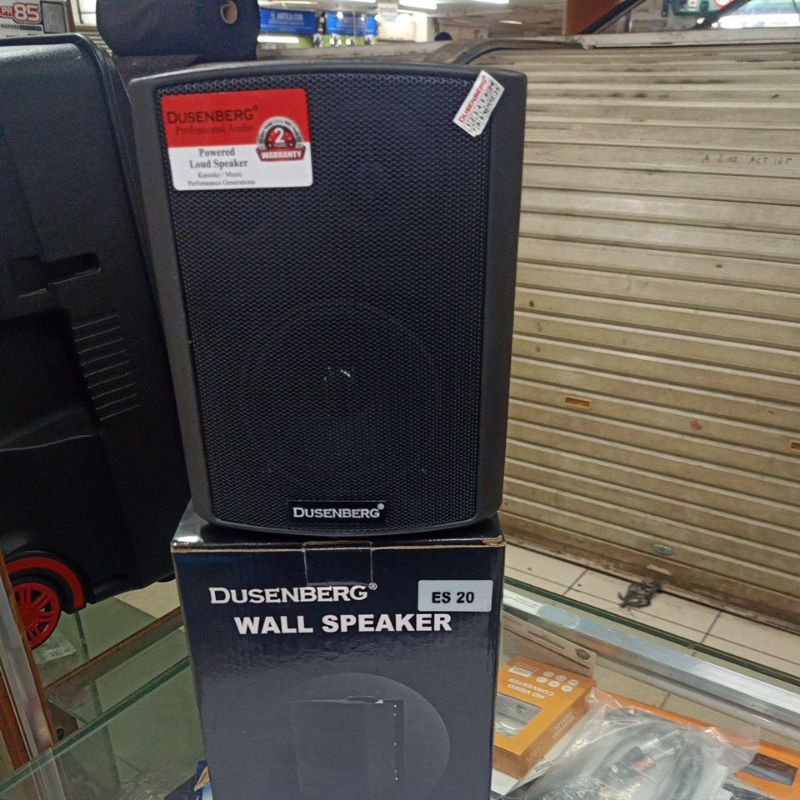 wall speaker 4 inch Dusenberg speaker cafe