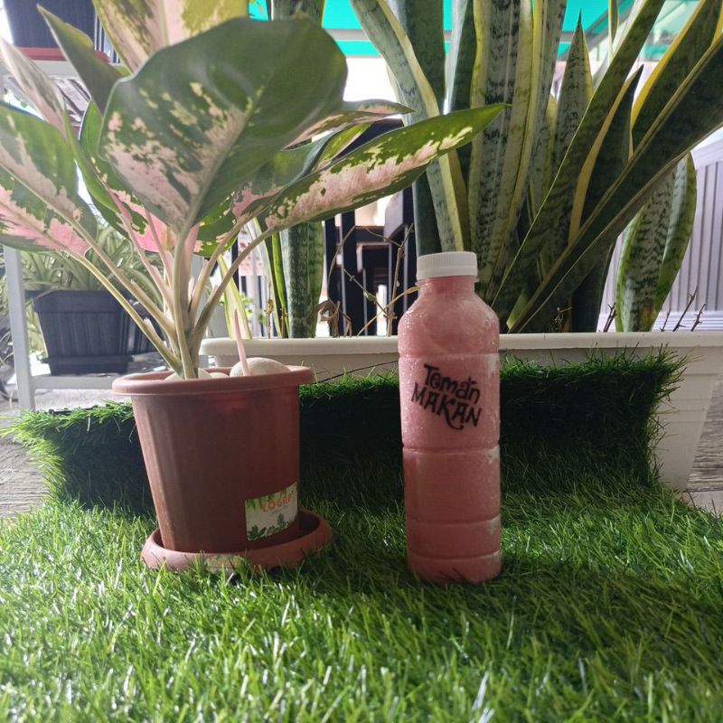 

[TM] Jus Buah Segar Jambu Biji 330 ml