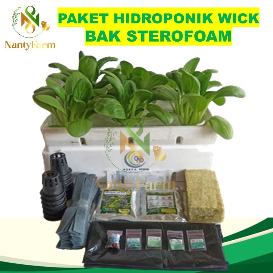 Paket Hidroponik Wick Bak Sterofom Starterkit Hidroponik - Paket Hidroponik Pemula