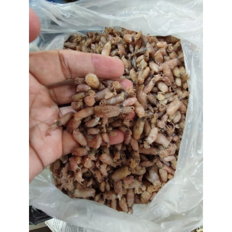 

Baby Cumi asin fresh 1-2 cm @500gr