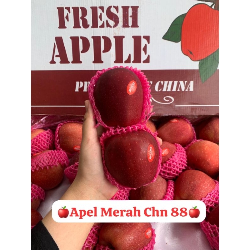 

Apel Merah China / Apel Merah Enak / Apel Merah Garing 1kg