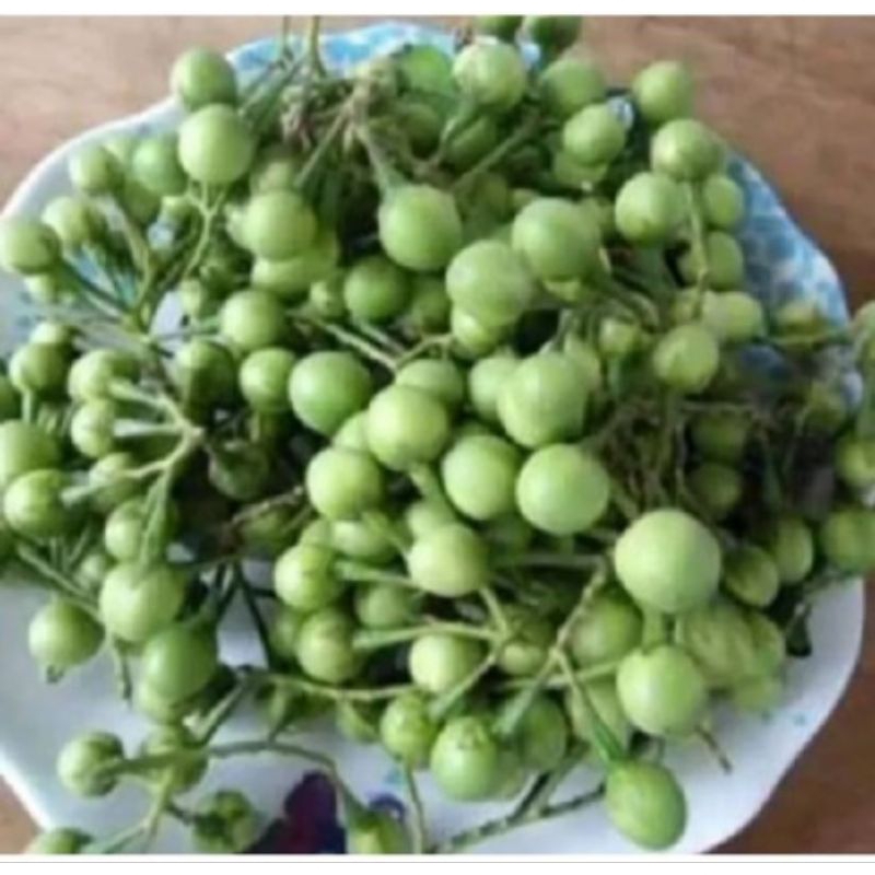 

Buah takokak/lalapan nasi 250gram