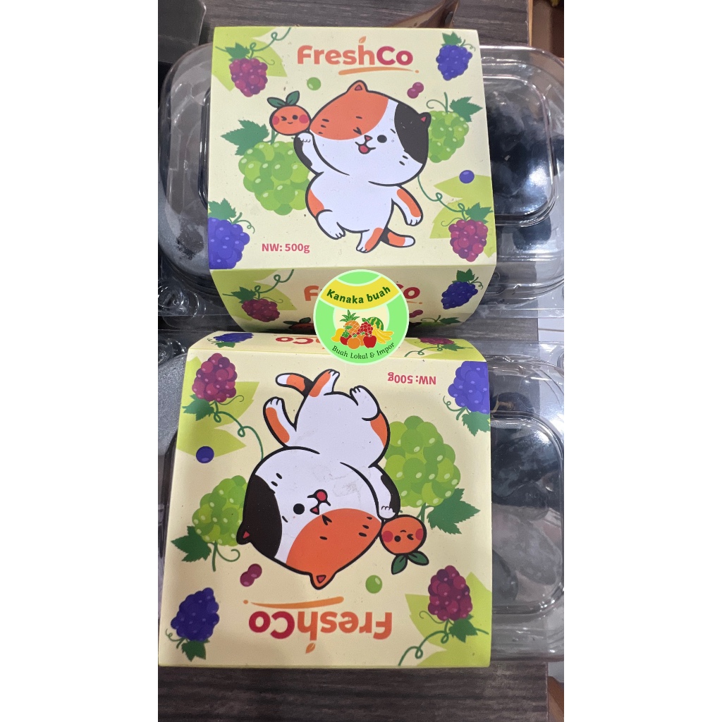 

Anggur Hitam/Moondrop/seedless
