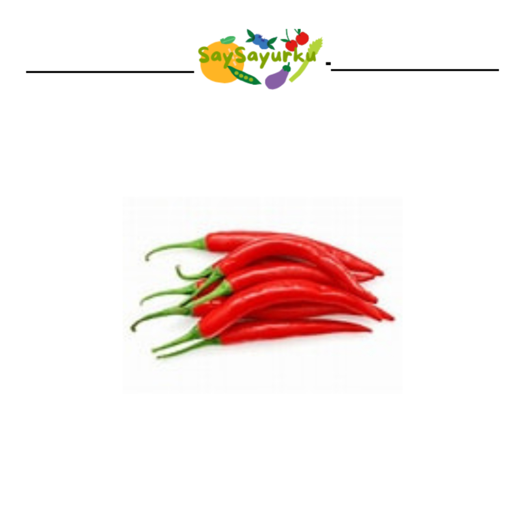 

CABE MERAH BESAR 100GR CABAI