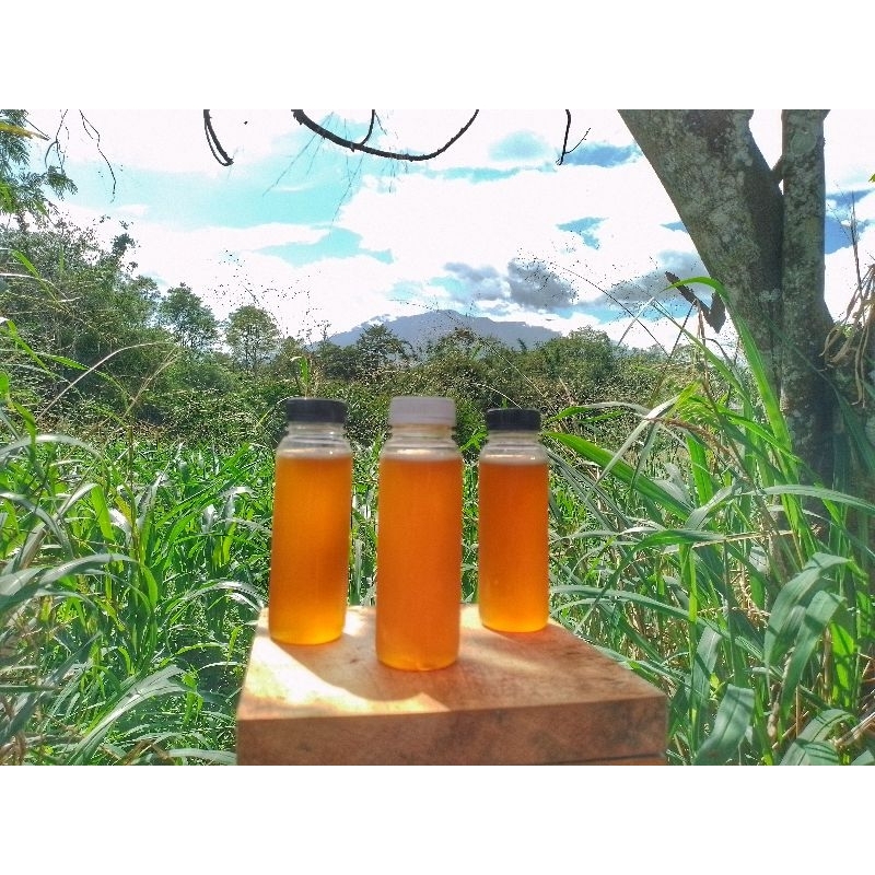 

Madu Murni Itama/Kelulut/galo2/klanceng