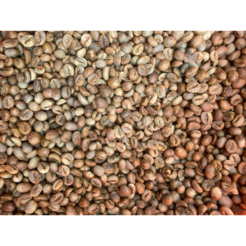

Kopi Robusta Kalibaru Asalan Grade B