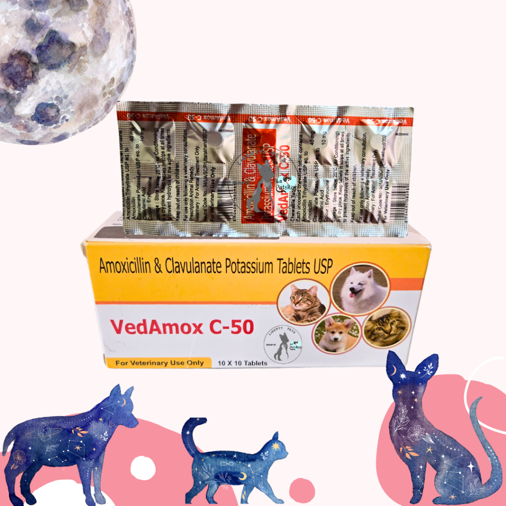 VedAmox C-50 Chewable Tablet Kunyah (1 Tablet) Infeksi Kulit / Pyoderma / Bakteri / Abses / Periodon