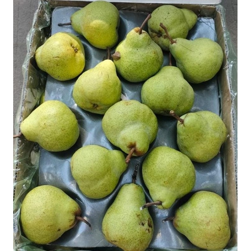 

Indukbuah Buah Pear Packam Pir Hijau Pir Jambu 1 Dus 14kg