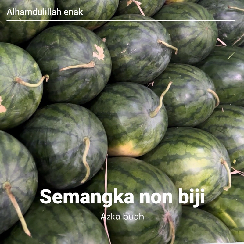 

buah semangka merah non biji