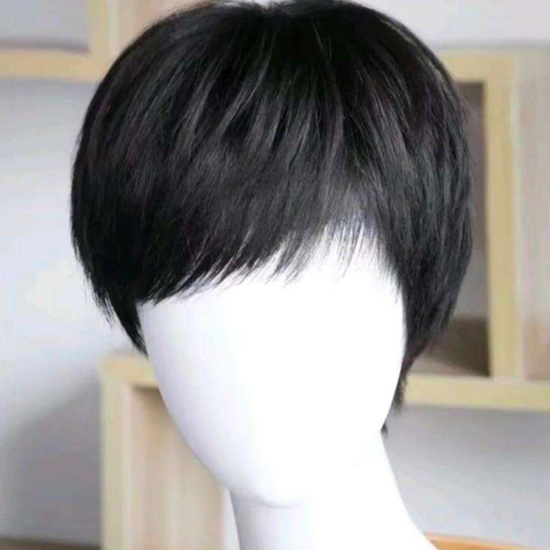 Wig Pria Korea Rambut Pendek Warna Hitam