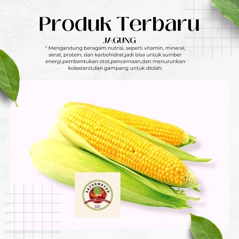 

Sayur Fresh Jagung Manis besar fast delivery