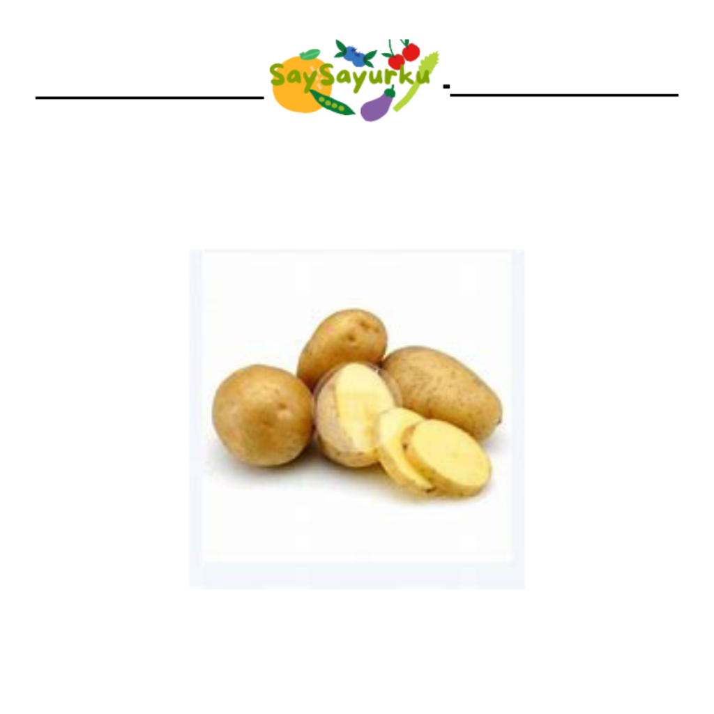 

KENTANG 500GR SURABAYA