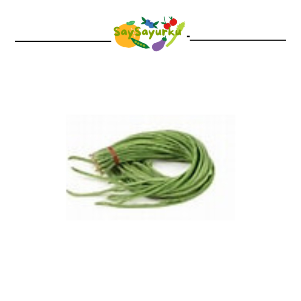 

KACANG PANJANG 250GR