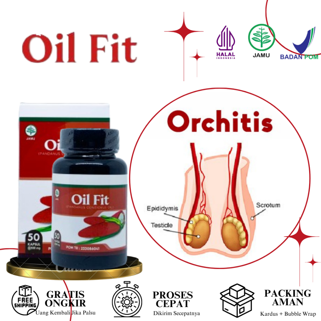 Oil Fit - Obat Orchitis Buah Zakar Bengkak Nyeri Testis Spermatokel Radang Testis Infeksi Parasit As