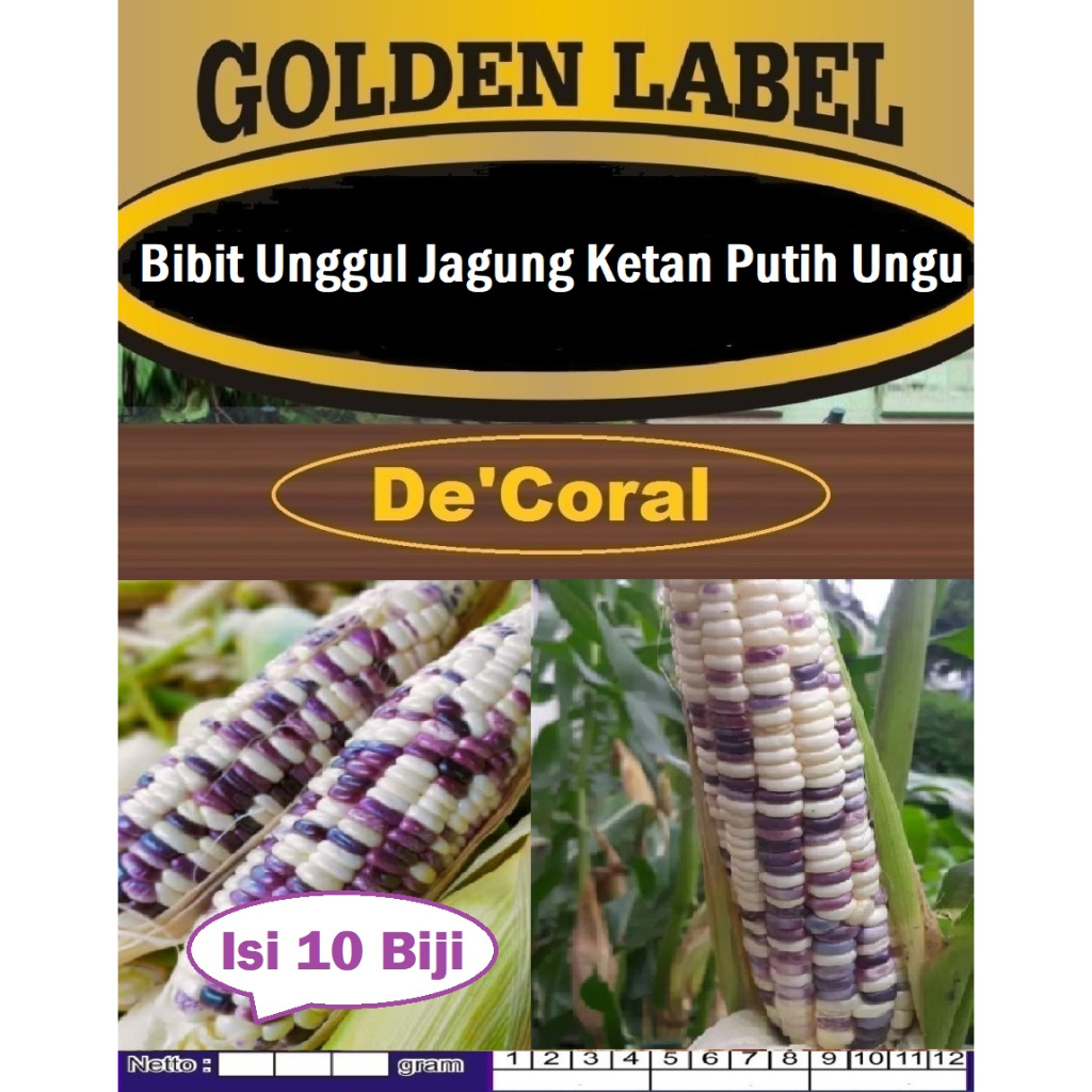 Bibit Unggul Jagung Ketan Putih Ungu | Biji Benih Jagung Putih Ungu | Biji Benih Jagung Putih Ungu