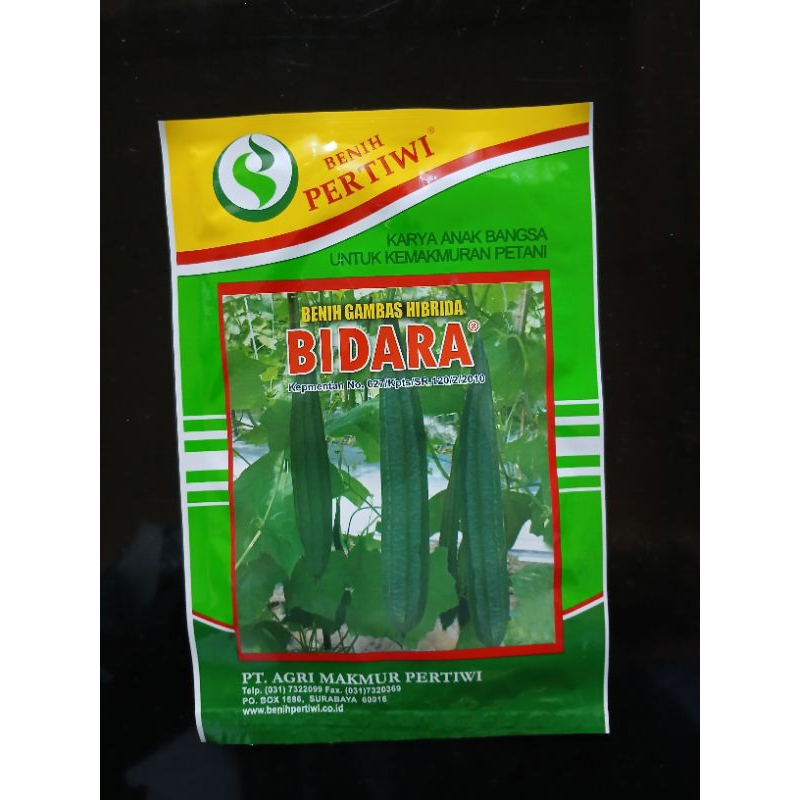 Benih Bibit Gambas/Oyong hibrida F1 BIDARA (10 gram).Benih pertiwi