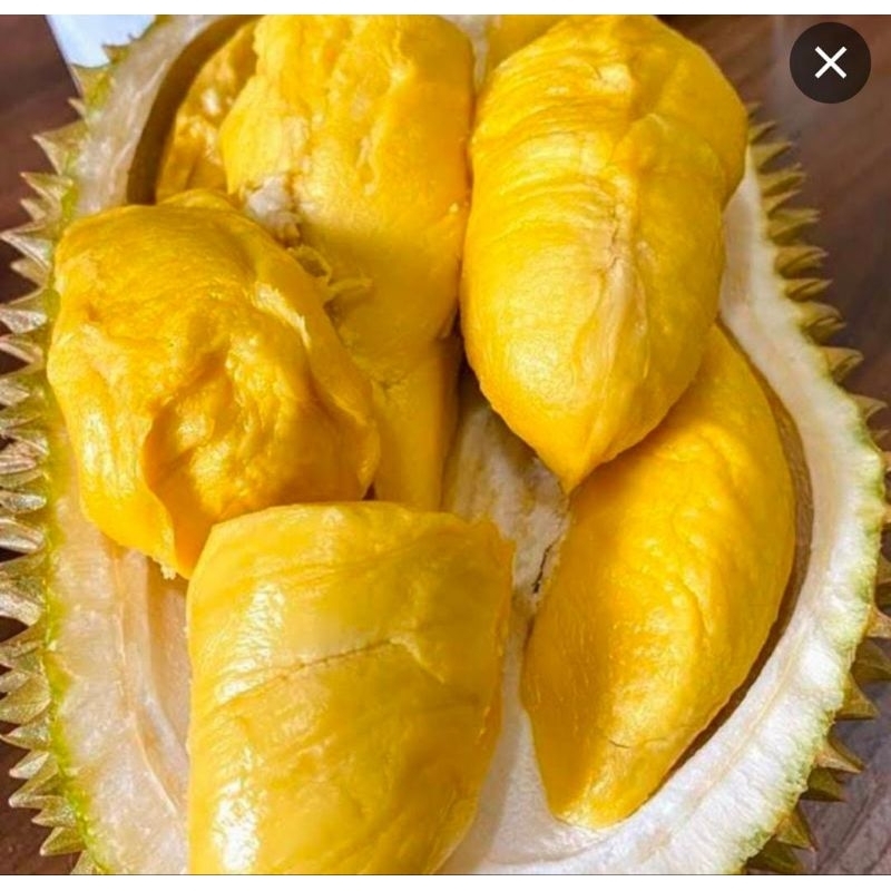 

Duren Durian Utuh Bawor Asli Banyumas Murah Matang Pohon Berat 3,5 -4,5 Kg Garansi