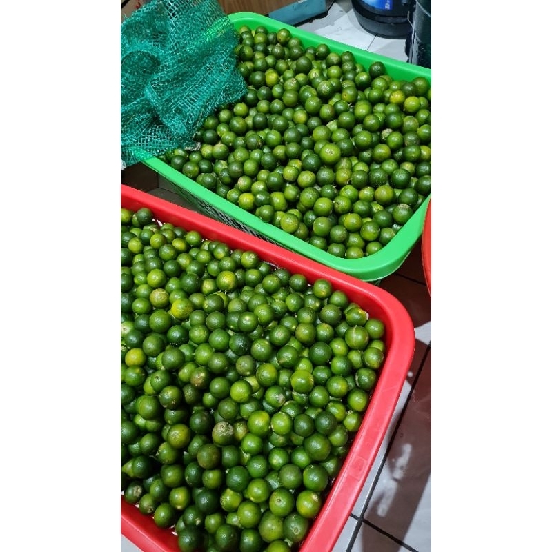 

Jeruk Kunci/Jeruk Kasturi/Jeruk Sonkit/Lemon Cina/Lemon Cui/Jeruk Kalimansi
