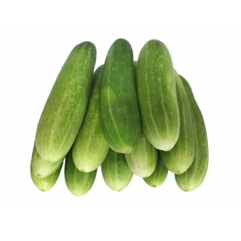 

MENTIMUN FRESH