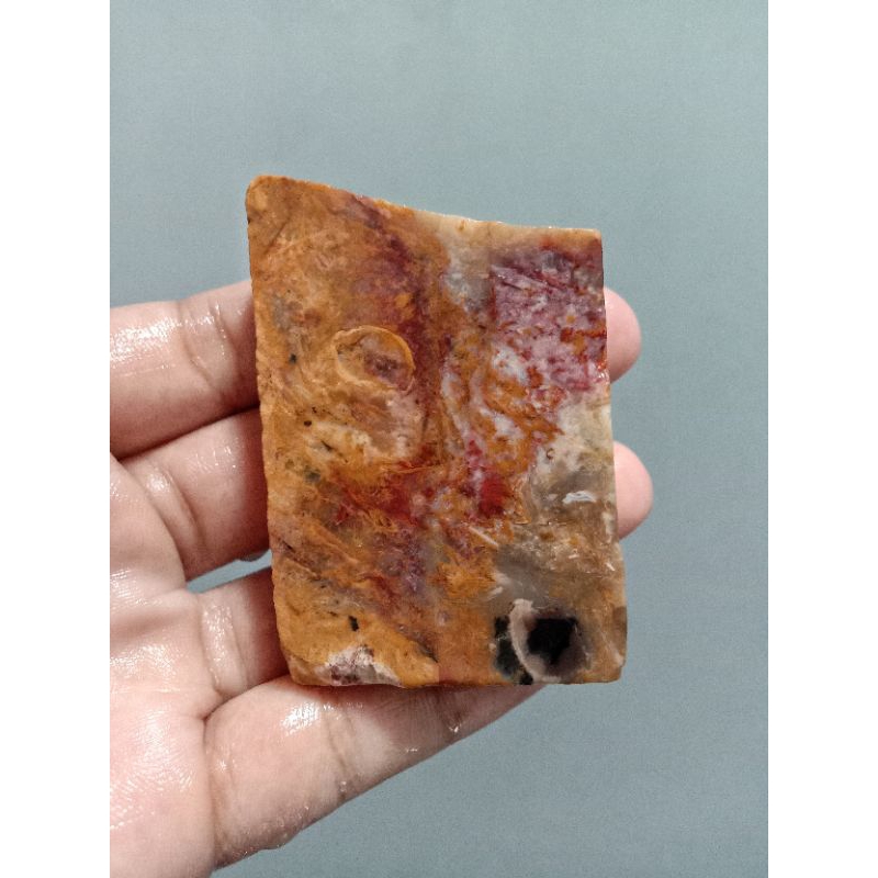 Rough Bahan Fosil Kelor Merah