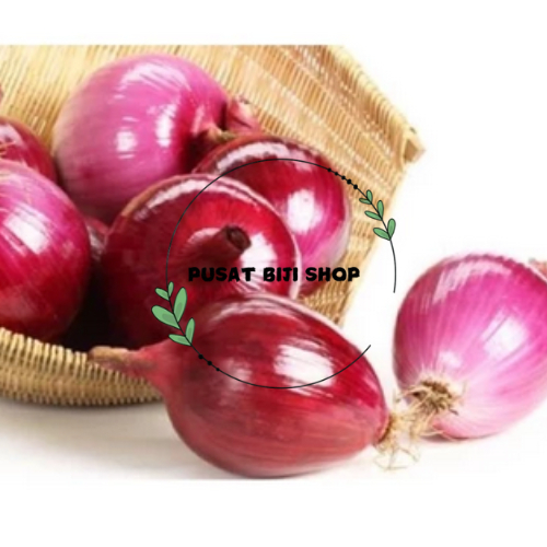 

Seeds Red Onion Biji Benih Bawang Merah Organik Siap Tanam Sayuran Isi 40 PCS